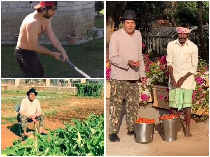गांव में अपना क्वॉलिटी टाइम बिता रहे हैं धर्मेन्द्र