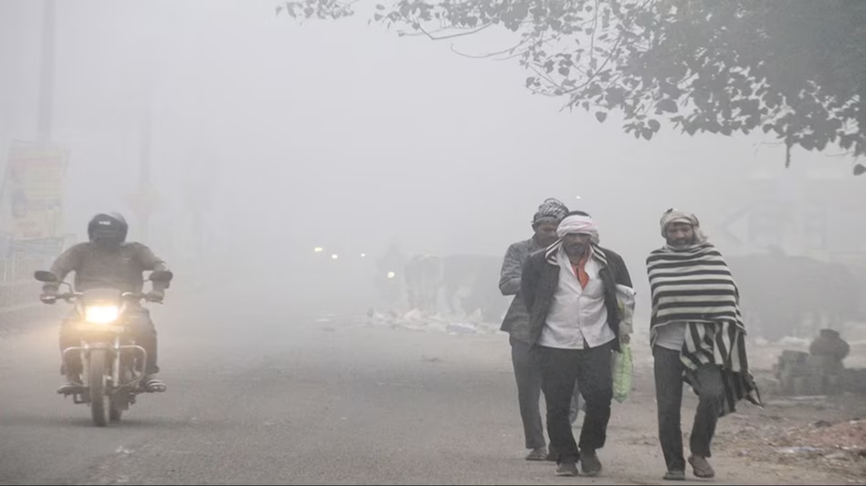 उत्तर भारत शीतलहर और घने कोहरे की की चपेट में
