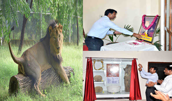 सफारी प्रशासन ने पुण्यतिथि में मनन शेर को किया याद