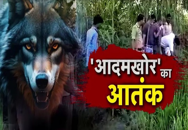 बहराइच में भेड़िये ने किया बच्ची पर हमला,हालत नाजुक