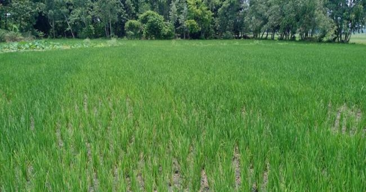 पूर्वांचल की ऊसर जमीन पर लहलहायेगी उद्योगों की फसल