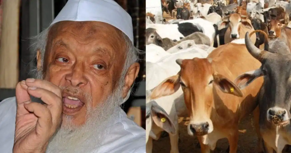 जमीयत अध्यक्ष मदनी ने की गौवध कानून और गाय को राष्ट्रीय पशु घोषित करने की मांग की