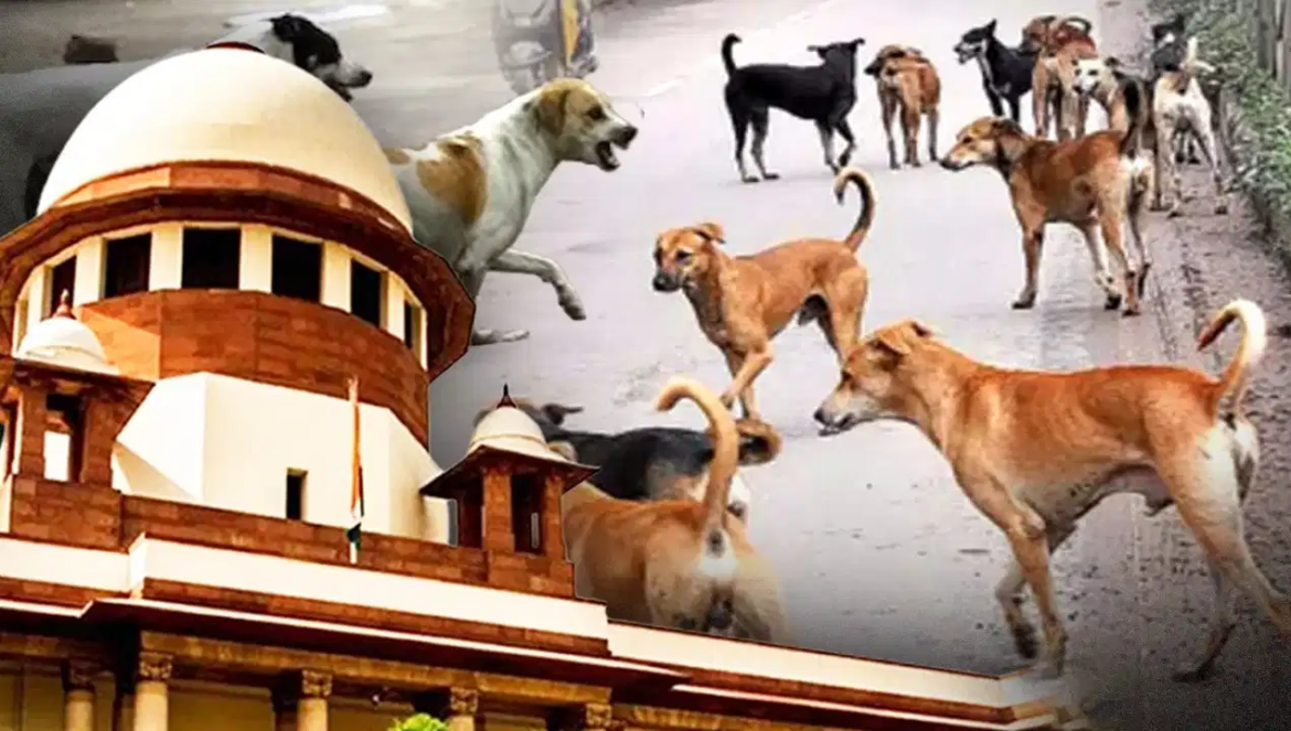 सुप्रीम कोर्ट ने आवारा कुत्तों को हटाने के अपने पिछले आदेश में बदलाव से किया इंकार