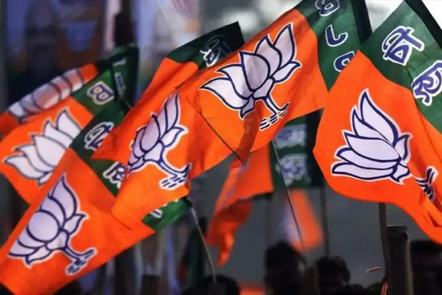 मोदी सरकार के 12 साल पूरे होने के उपलक्ष्य में देशव्यापी जनसम्पर्क अभियान चलाएगी भाजपा