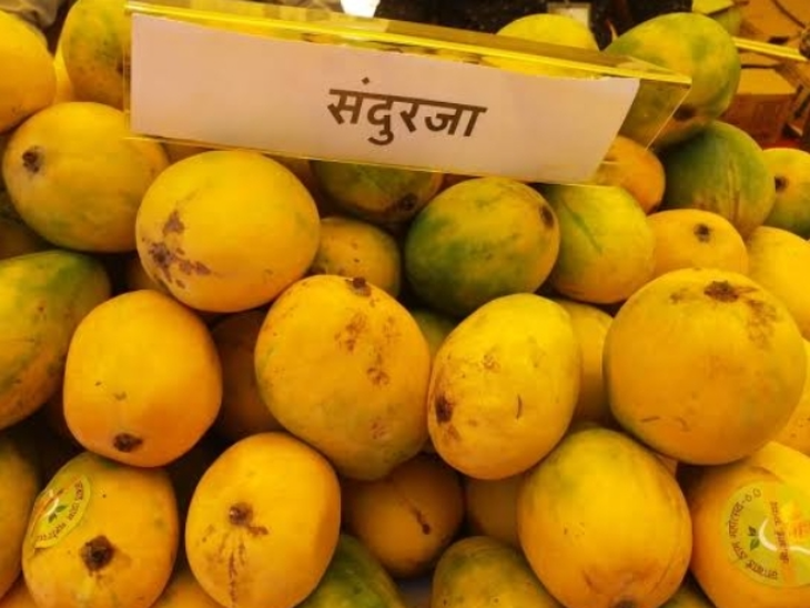 यूएई के लोग चखेंगे रीवा सुंदरजा आम का स्वाद